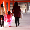 厳島神社七五三