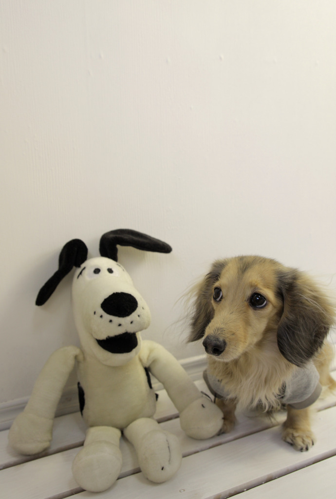 ふたりは仲良し