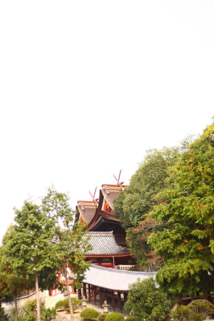 吉備津神社の森