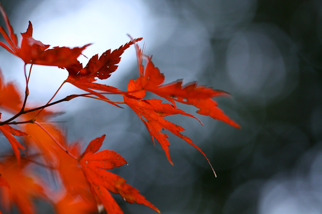 三郎の滝、紅葉にはまだ遠い？