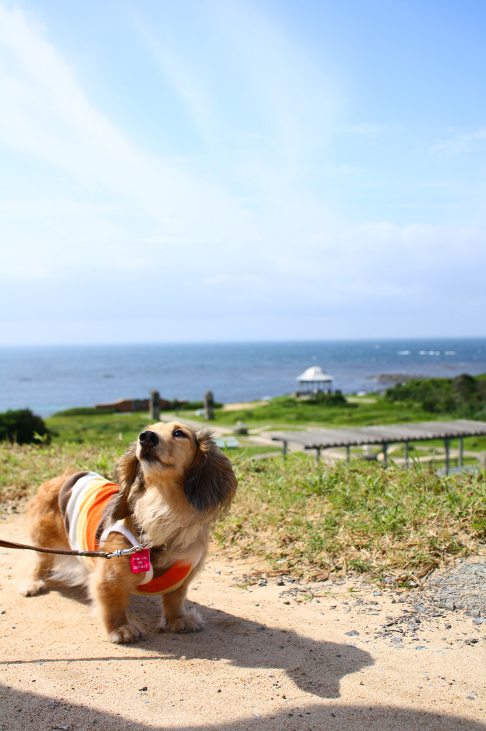 角島で夏のお散歩