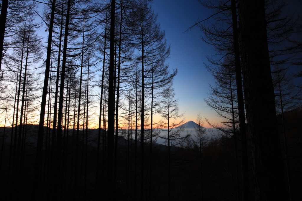 富士山　～乙女高原より