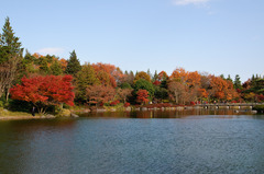 日本庭園