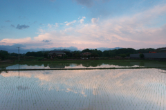 夕映え