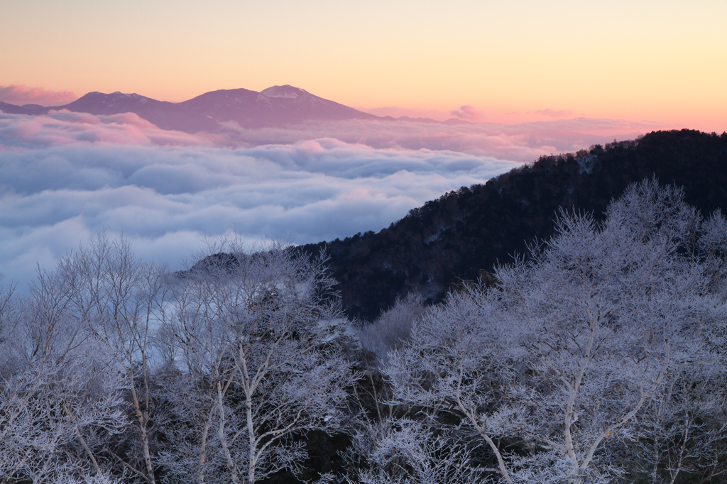 霧氷の夜明け