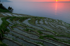 千枚田の夕景