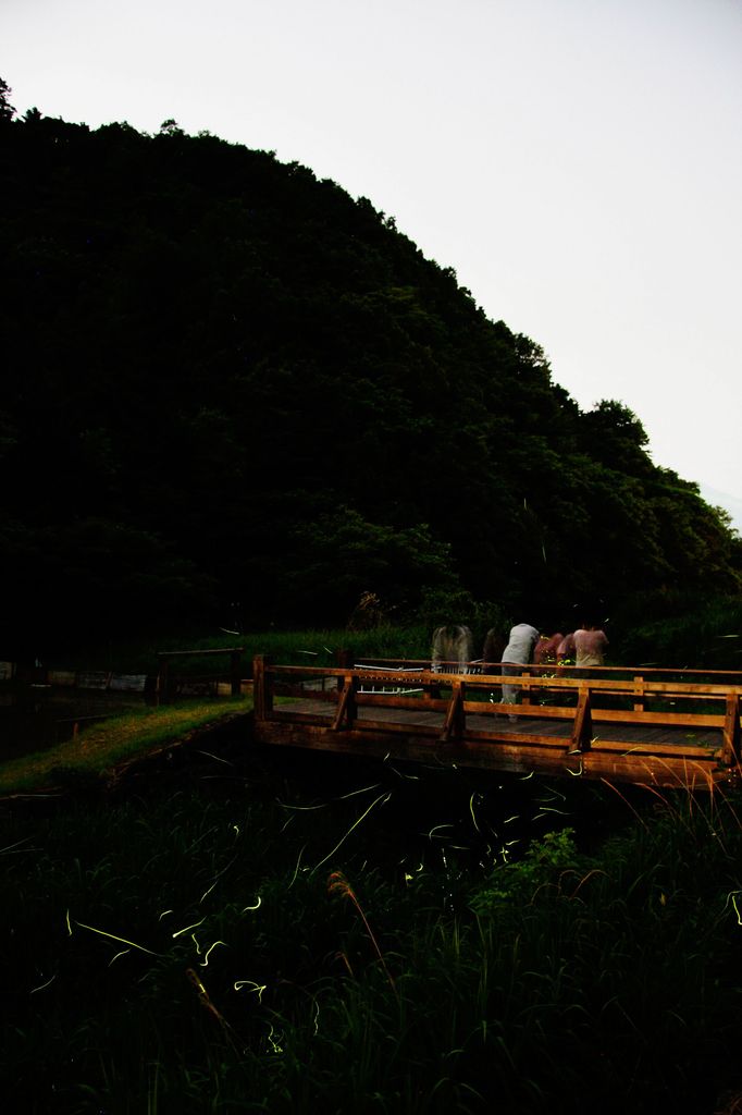蛍の郷-4