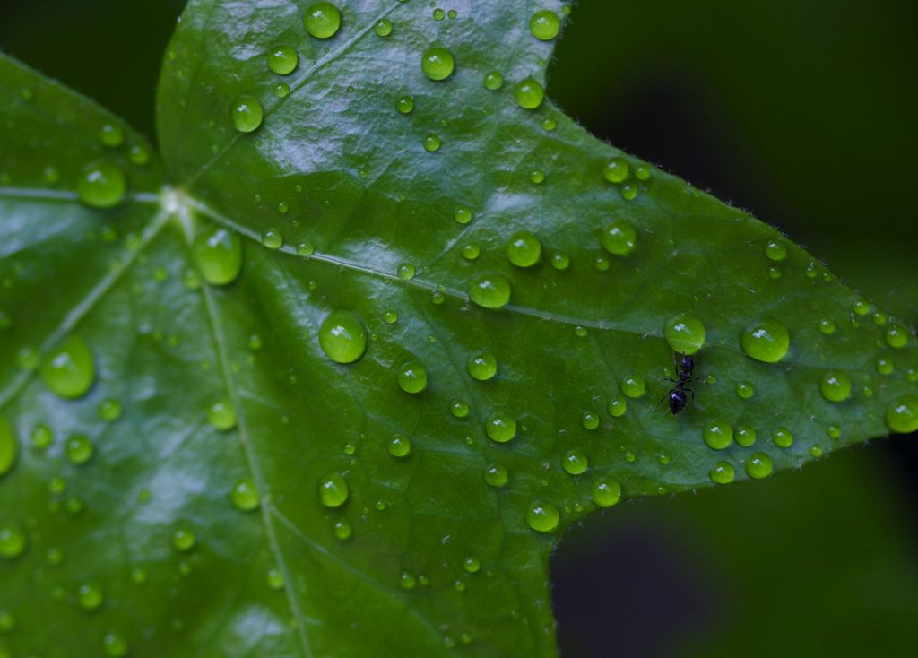 水分補給！