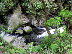 椿川渓谷