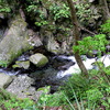 椿川渓谷