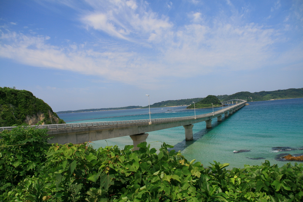 楽園への入り口