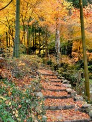 仏通寺の紅葉