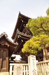 寺