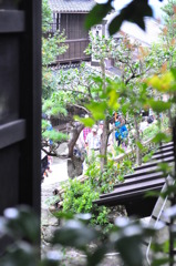 旅先から