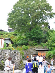 馬籠宿