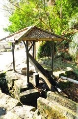 磯庭園 