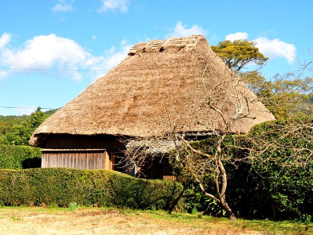 茅葺き