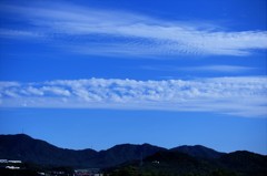 kumo
