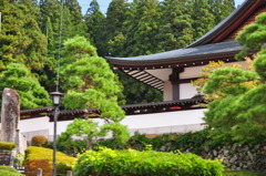 旅先から