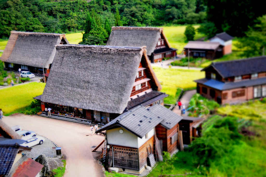 合掌造
