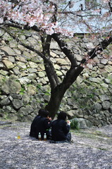 女子高生のお花見