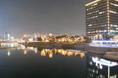 紫川
