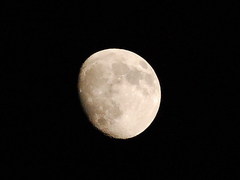 MOON