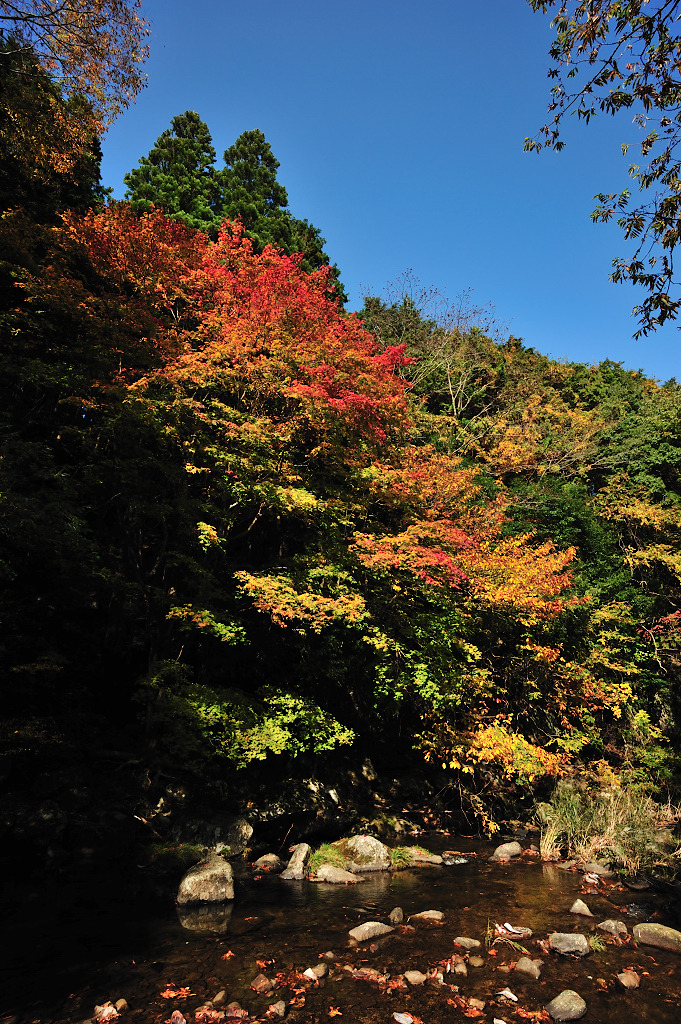 山の初秋