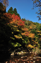 山の初秋