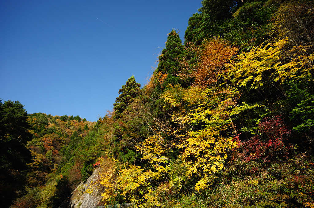 茶臼山の秋