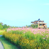 小春日和