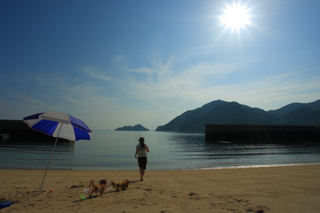 夏だ！海だ！