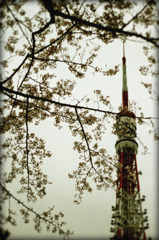 当時の東京タワー