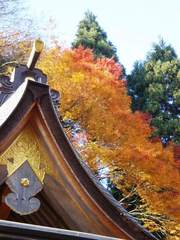 貴船神社紅葉