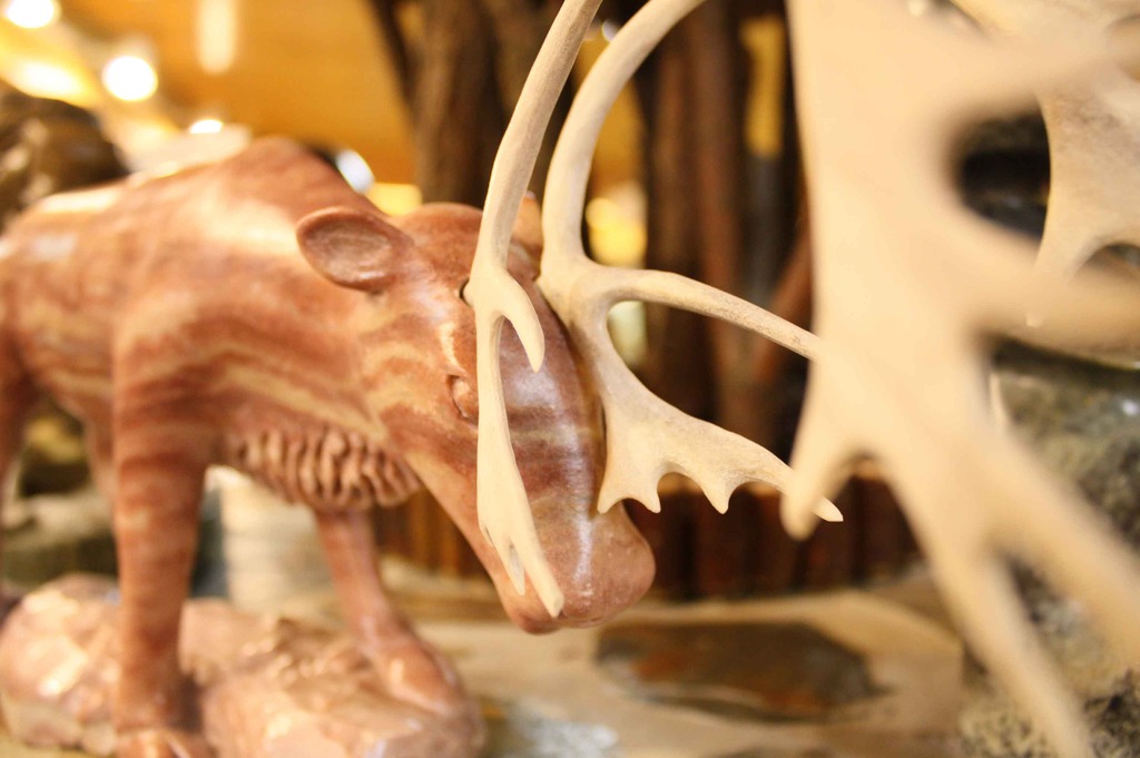 つよいんだゾウ