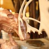 つよいんだゾウ