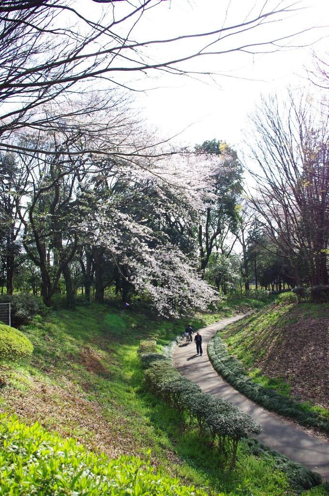 spring path