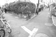 自転車と道