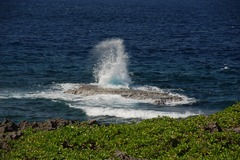 飛沫