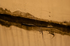 急行能登ボンネット