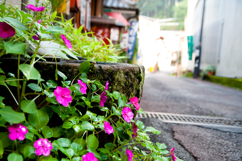 四万温泉