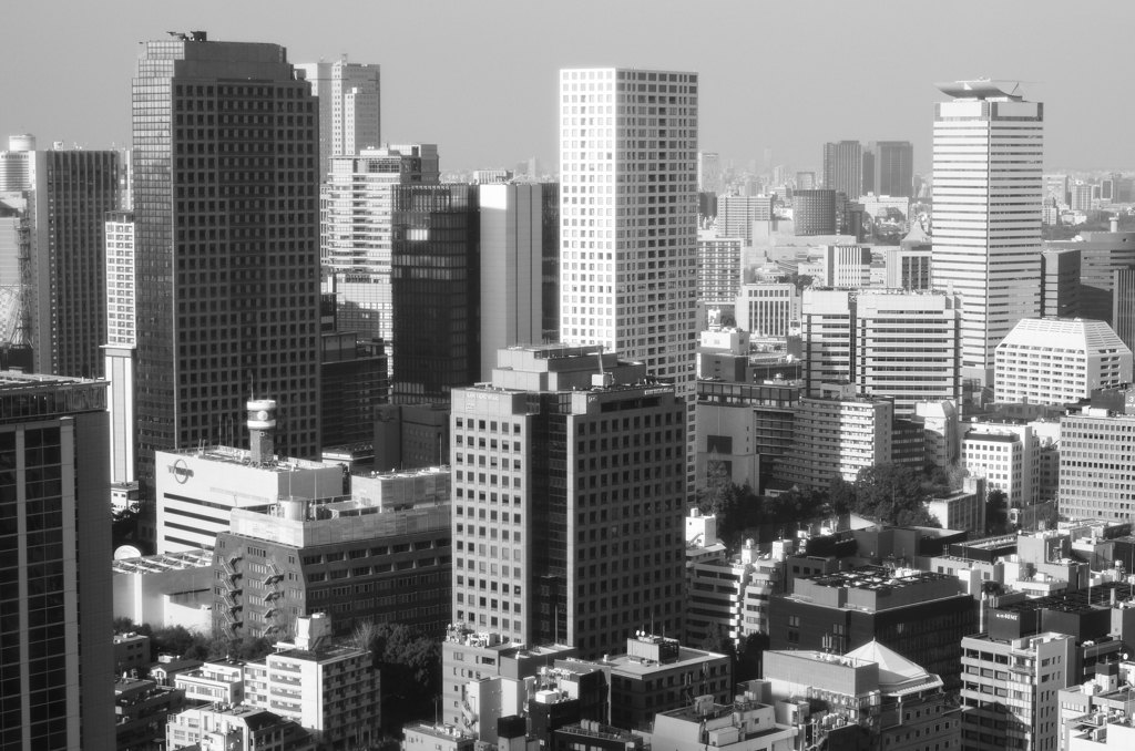 2014年12月31日_東京タワー