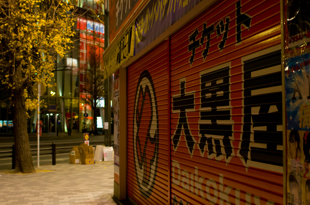 2014年1月3日_秋葉原