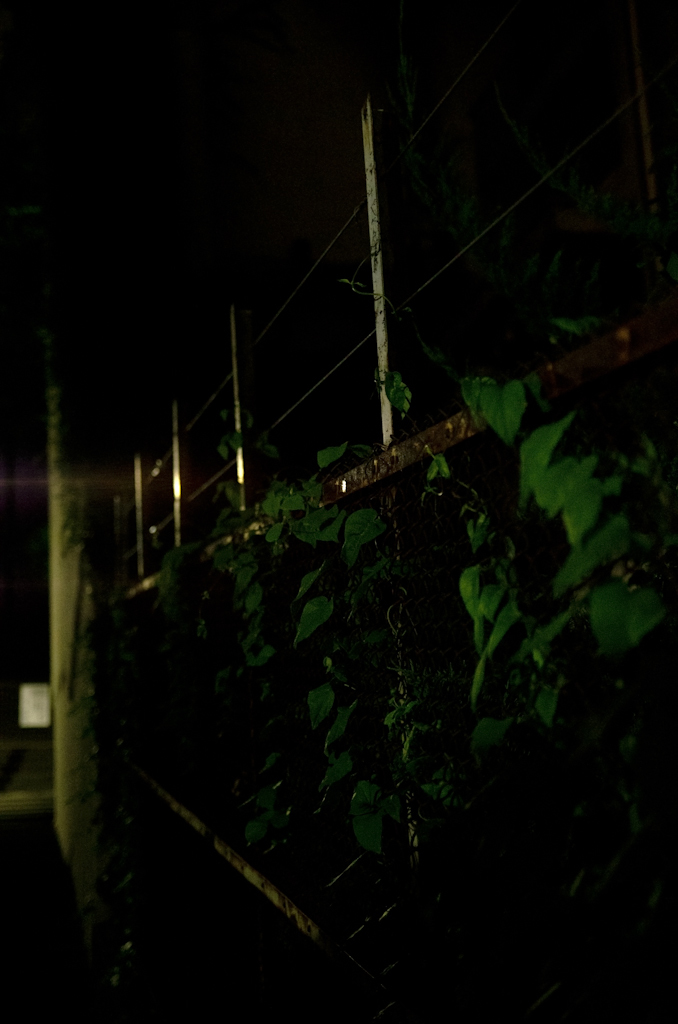 2013年9月14日_東中野