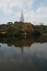 新宿御苑(2009/11/8)