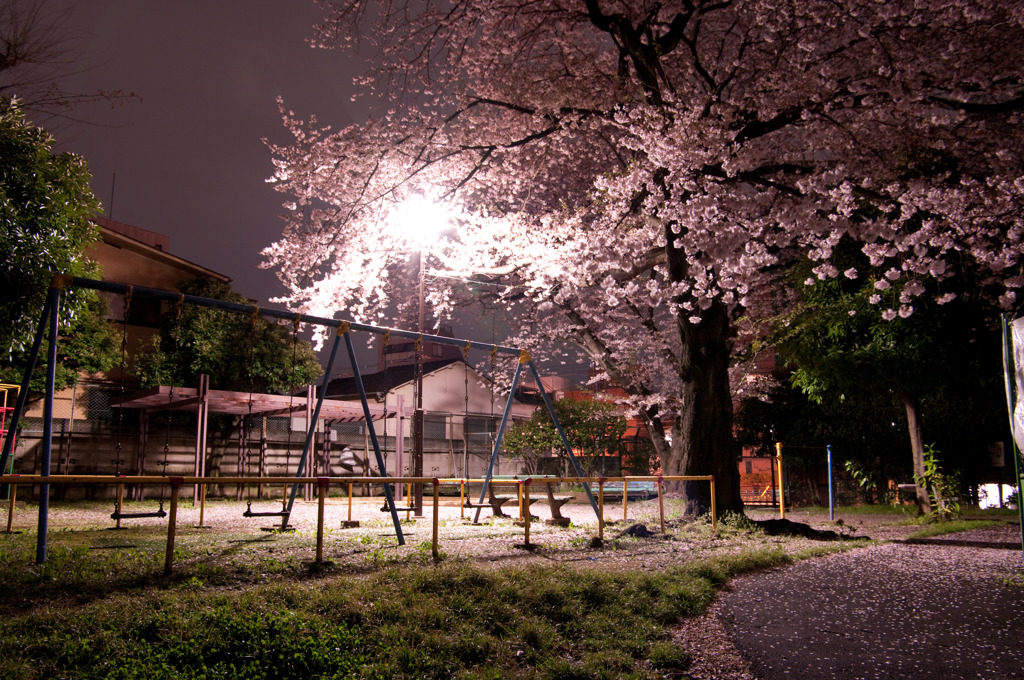 夜公園