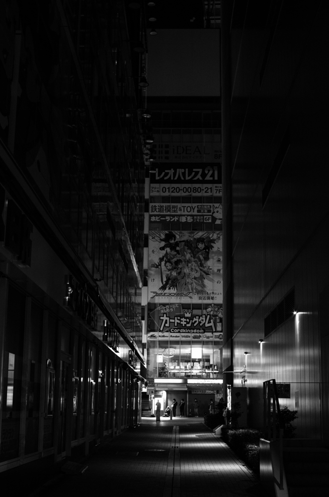 2016年01月31日_秋葉原