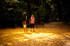 新宿御苑(2009/12/4)