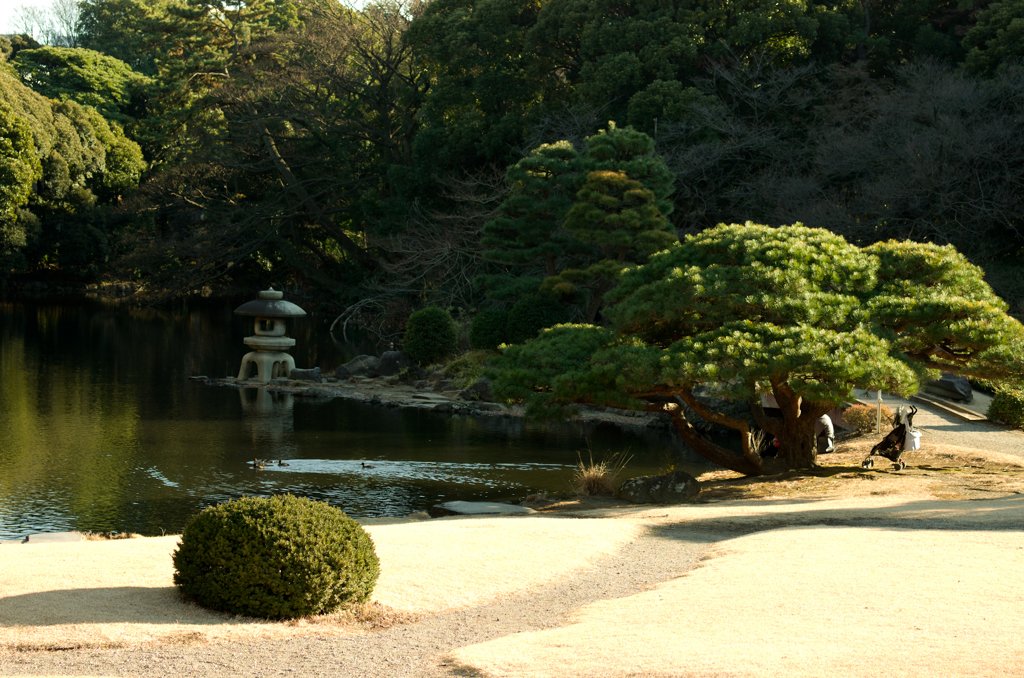 2014年12月27日_新宿御苑