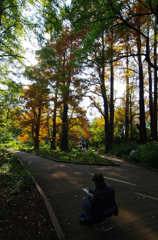 2013年11月17日_新宿御苑